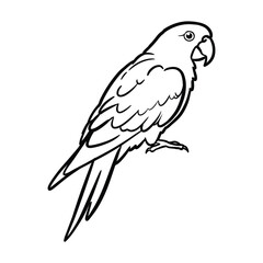Parrot Bird silhouette vector graphic illustration.