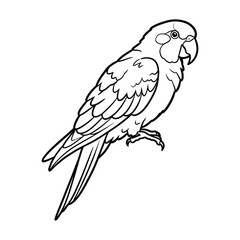 Parrot bird silhouette vector illustration graphic, white background.