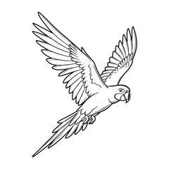 Cute Fly Parrot bird silhouette vector illustration graphic, white background.