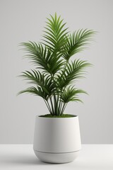a close up of a plant in a white pot on a table