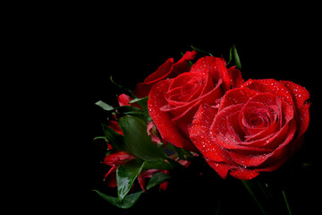 pretty red roses