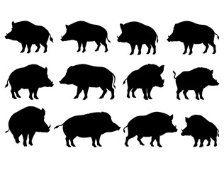 BOAR SILHOUETTE ON WHITE BACKGROUND