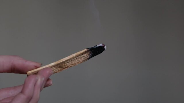 Wooden palo santo stick in the hand on the gray background. Aroma therapy.	