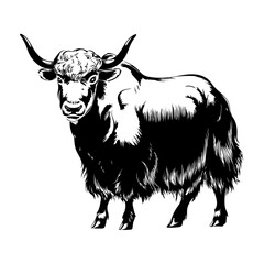 Yak Engraving Style Artwork – Intricate Black and White Animal Design