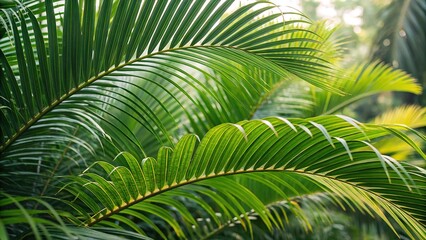 Fototapeta premium Tropical palm leaves, vibrant landscape, nature's exotic beauty.