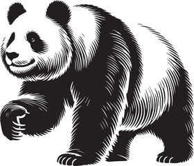 Giant panda vector black and white 