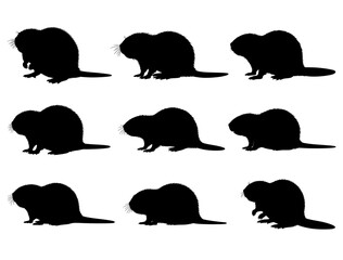 BEAVER SILHOUETTE ON WHITE BACKGROUND