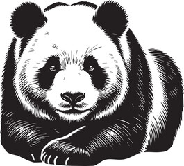 Giant panda vector black and white 