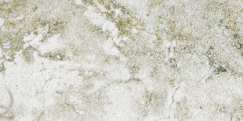 Abstract dust grunge on cement floor texture background Vector on white background banner.