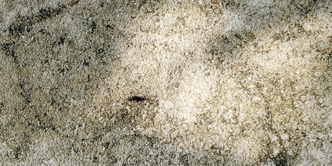 Abstract dust grunge on cement floor texture background Vector on white background banner.