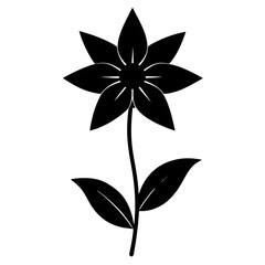 black and white flower