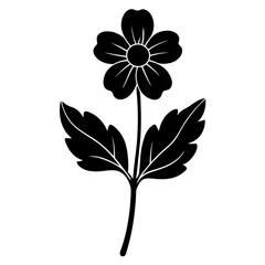 black and white flower
