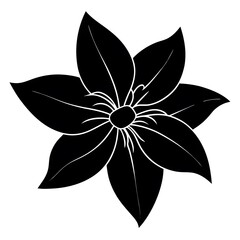 black and white flower
