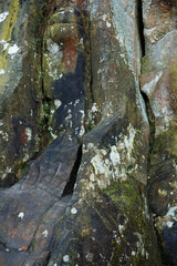 Large rocky rocks. Rocks of rocks. Gray moss-covered rocks