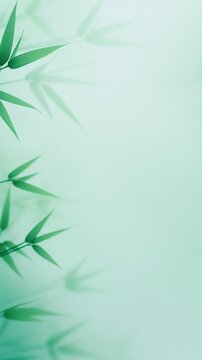 Green bambo leaves on bokeh background. Zen and wellness concept. Image for spa and meditation content with copy space.