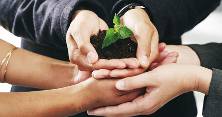 Hands, business people and soil with nature, growth and hope for sustainability and future....