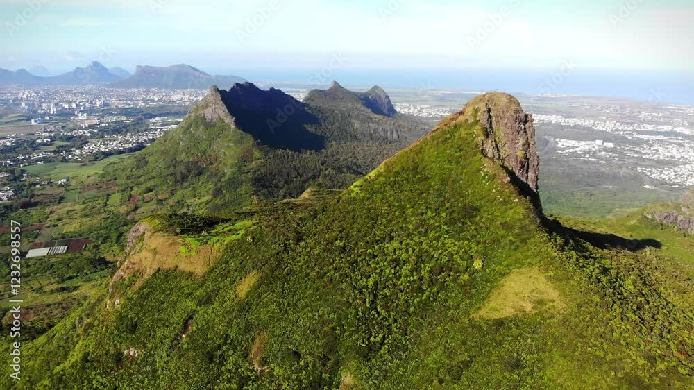 Wall mural Beautiful pointed mountain in the tropical jungle on the island of Mauritius view from above