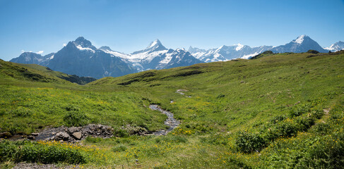 green pasture with small creek and mountain view with glacier Grindelwald, Bernese Alps