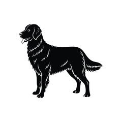 black silhouette of a dog