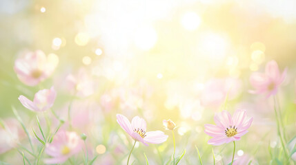 春の花畑 Flower garden