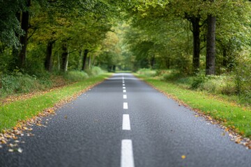 Fototapeta premium empty road through a forest in autumn