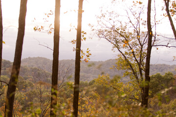 Scenic Drone Shot of Mountains