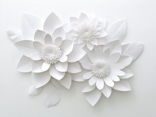 white paper flowers on a white background