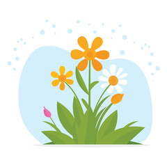 Spring flower plants