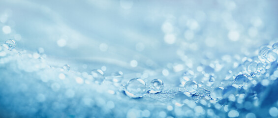 Fototapeta premium large number of round water droplets on a blue background.