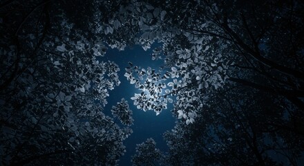 Moonlight filtering through dense forest canopy at night