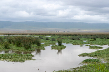 Tanzania is an East African country famous for its vast wildlife areas. These include the plains of the Serengeti National Park.