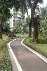 a path in a shady green park on the outskirts of the city.
