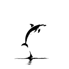 Naklejka premium Dolphin Vector Logo Design