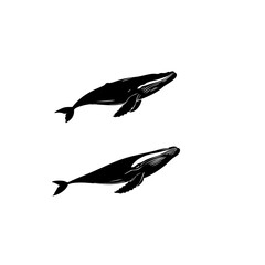 Fototapeta premium Whale Vector Logo Design