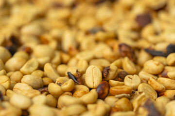 Close-up of drying coffee beans in Costa Rica, essential for coffee production