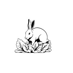 Obraz premium Rabbit Vector Logo Design