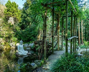 Obraz premium Foresta giapponese