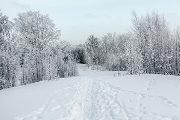 Obraz premium the road through the snow going into the distance. winter landscape