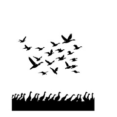 A Flock Of Birds Flying Vector Logo Design