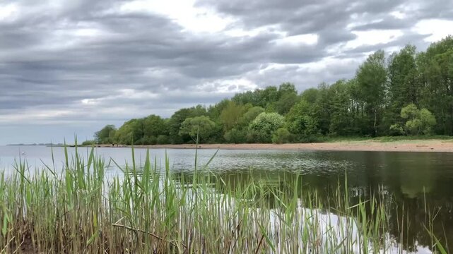 spring landscape river, forest on the bank