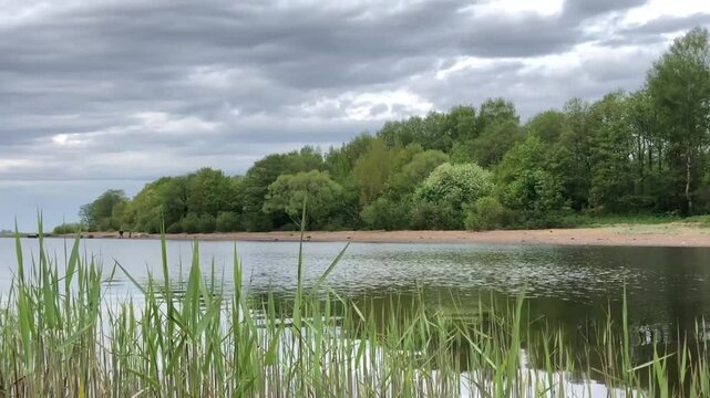 beautiful green spring landscape, forest, river