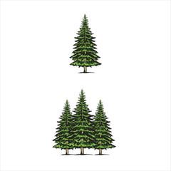 Vector pine tree silhouette