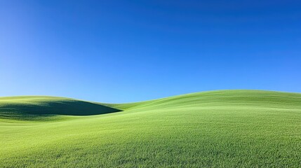 Obraz premium Rolling green hills under a clear blue sky