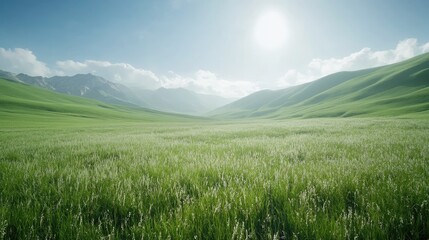 Fototapeta premium Serene Green Valley Landscape Under Sunny Sky