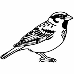 illustration of a bird