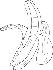 the illustration of Delicious Fruit that called Banana.