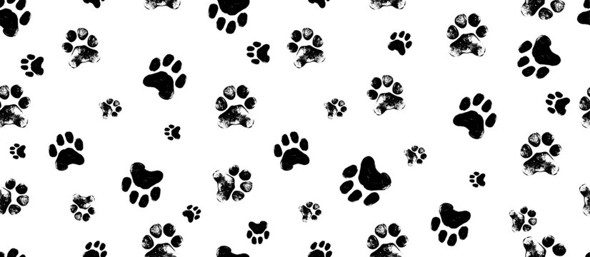 Fototapeta Black seamless pattern of footstep cat paws, cat, dog foot, animal. Animal step texture. Bear, panda, tiger grunge stamp repeat foot track wallpaper. Cartoon monochrome paw print seamless pattern.