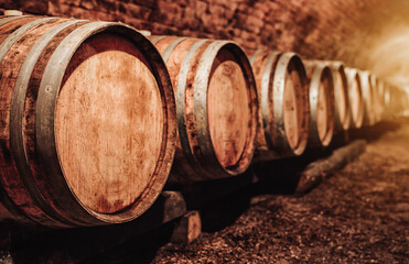 Wine barrels in wine-vaults in order