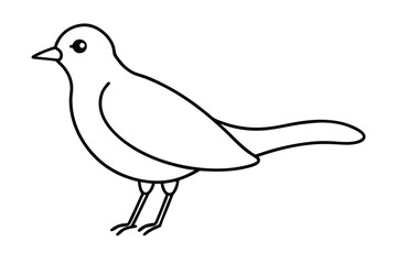 illustration of a bird line art 