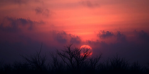 Obraz premium Modern Abstract Geometric Background – Minimalist Art in Soft Tones Aesthetic Pastel Abstract Art – Contemporary Digital Background